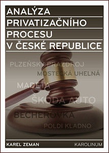 E-kniha Analýza privatizačního procesu v České republice