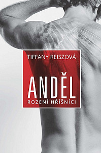 E-kniha Anděl