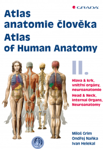 E-kniha Atlas anatomie člověka II. - Atlas of Human Anatomy II.