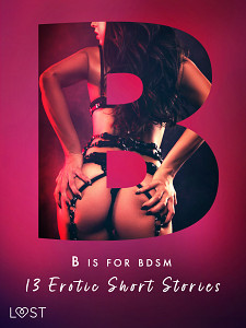 E-kniha B is for BDSM: 13 Erotic Short Stories