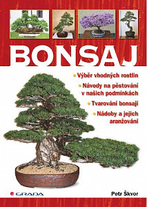 E-kniha Bonsaj