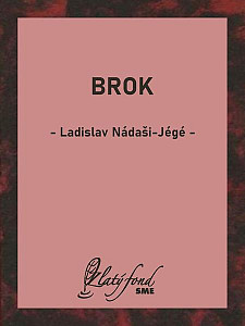 E-kniha Brok