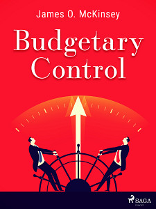 E-kniha Budgetary Control