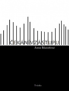 E-kniha Čekání v zástupu