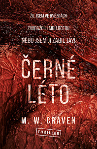 E-kniha Černé léto