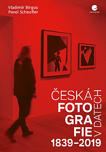 E-kniha Česká fotografie v datech