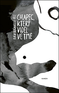 E-kniha Chlapec, který viděl ve tmě