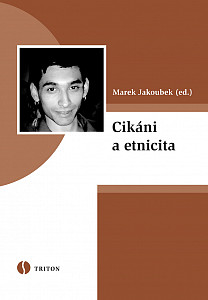 E-kniha Cikáni a etnicita