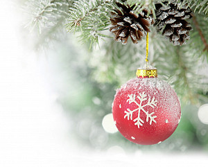 E-kniha Člověk a čas