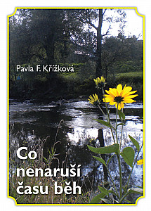 E-kniha Co nenaruší času běh
