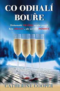 E-kniha Co odhalí bouře