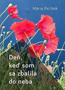E-kniha Deň, keď som sa zbalila do neba