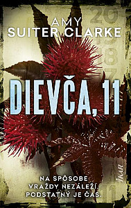 E-kniha Dievča, 11