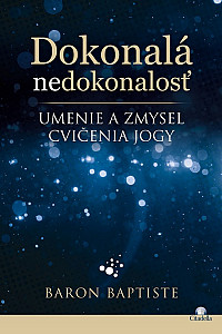 E-kniha Dokonalá nedokonalosť