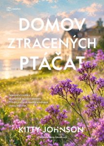 E-kniha Domov ztracených ptáčat