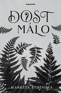 E-kniha Dost málo