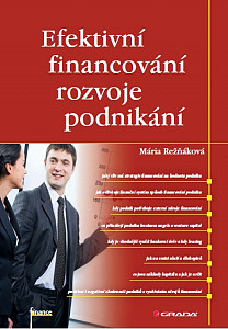 E-kniha Efektivní financování rozvoje podnikání