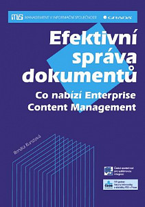 E-kniha Efektivní správa dokumentů