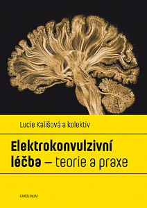 E-kniha Elektrokonvulzivní léčba – teorie a praxe