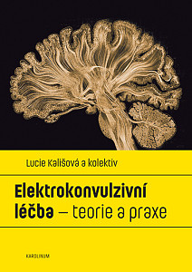 E-kniha Elektrokonvulzivní léčba – teorie a praxe