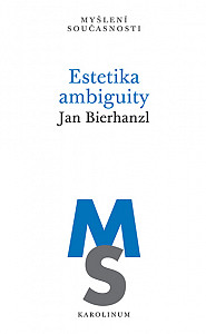 E-kniha Estetika ambiguity