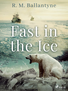 E-kniha Fast in the Ice
