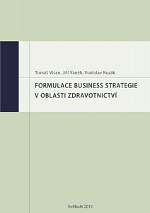 E-kniha Formulace business strategie v oblasti zdravotnictví