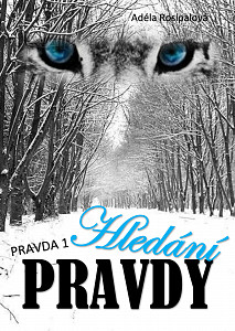 E-kniha Hledání pravdy