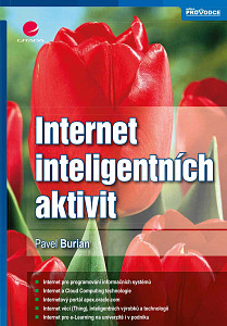 E-kniha Internet inteligentních aktivit