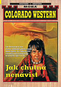 E-kniha Jak chutná nenávist