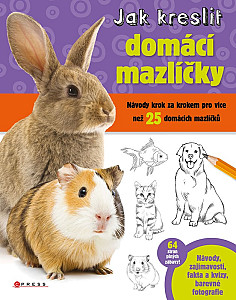 E-kniha Jak kreslit domácí mazlíčky