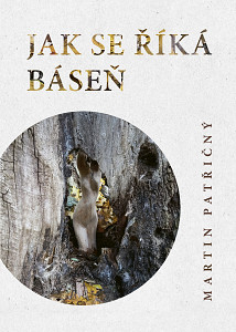 E-kniha Jak se říká kniha