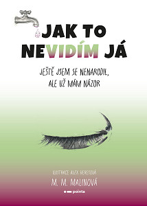 E-kniha Jak to nevidím já