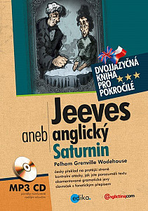 E-kniha Jeeves aneb anglický Saturnin