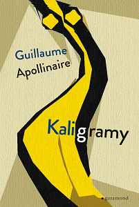 E-kniha Kaligramy