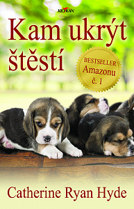 E-kniha Kam ukrýt štěstí