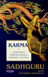 E-kniha Karma