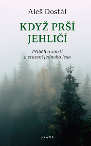 E-kniha Když prší jehličí