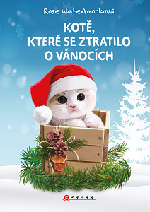 E-kniha Kotě, které se ztratilo o Vánocích