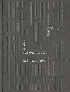 E-kniha Král na střeše