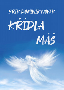 E-kniha Křídla máš