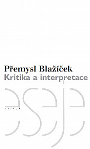E-kniha Kritika a interpretace