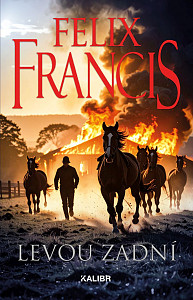 E-kniha Levou zadní