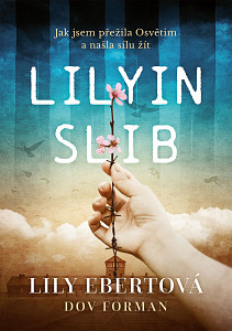 E-kniha Lilyin slib