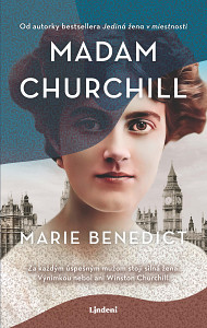 E-kniha Madam Churchill