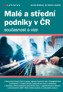 E-kniha Malé a střední podniky v ČR – současnost a vize