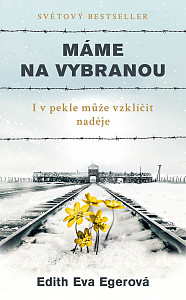 E-kniha Máme na vybranou