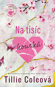 E-kniha Na tisíc kousků