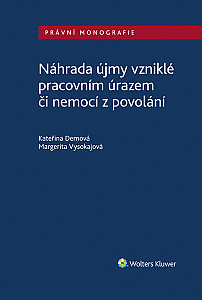 E-kniha Náhrada újmy vzniklé pracovním úrazem či nemocí z povolání