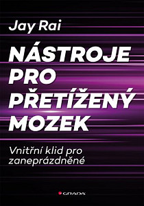 E-kniha Nástroje pro přetížený mozek